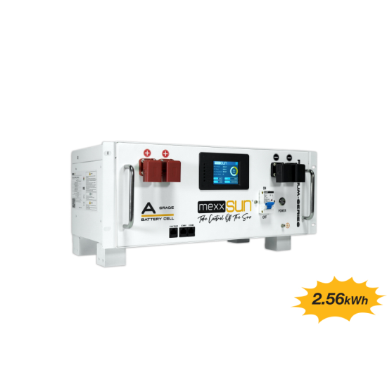 BT100.25LFMX.001