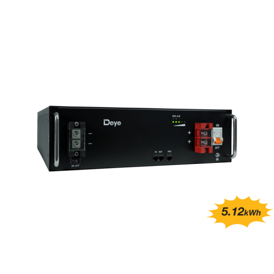 BT100.51LFDY.002