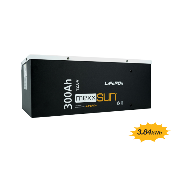 BT300.12LFMX.003