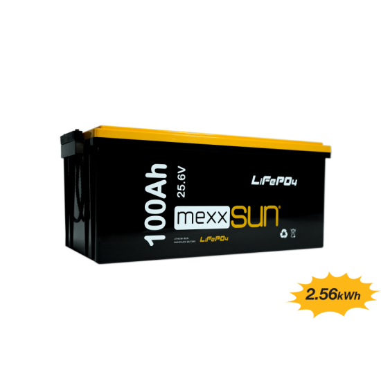 BT100.24LFMX.003