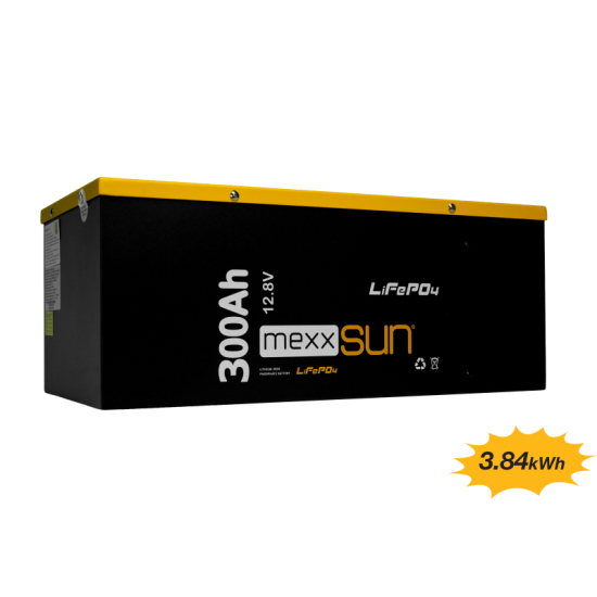 BT300.12LFMX.003