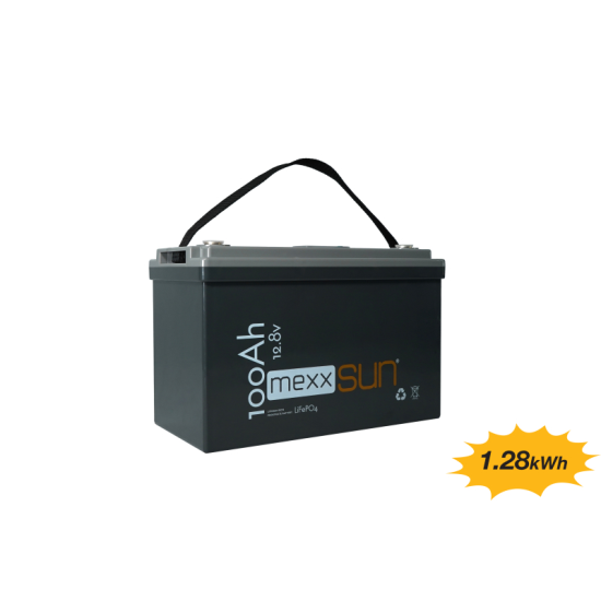 BT100.12LFMX.002